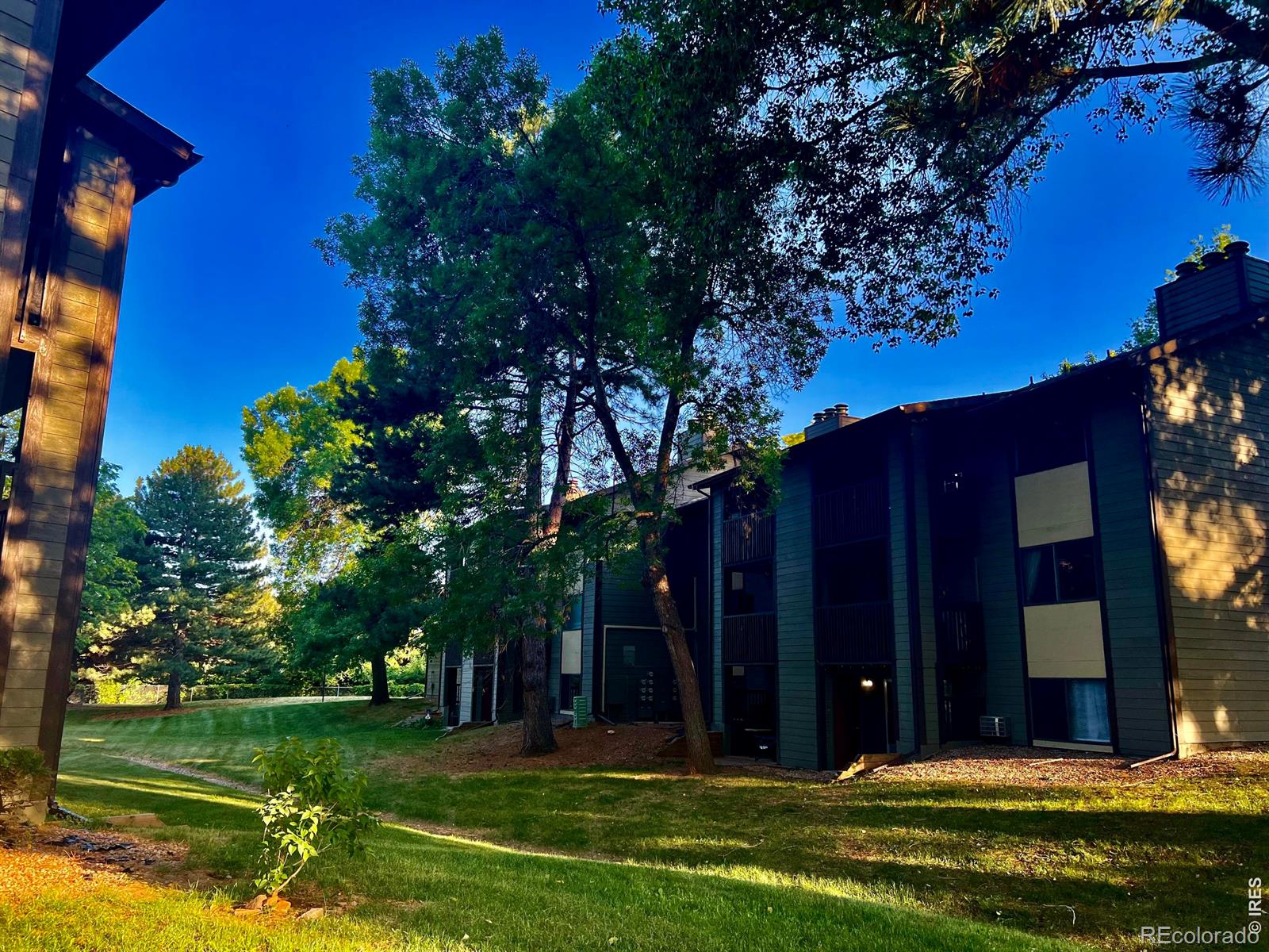 MLS Image #8 for 925  columbia road,fort collins, Colorado