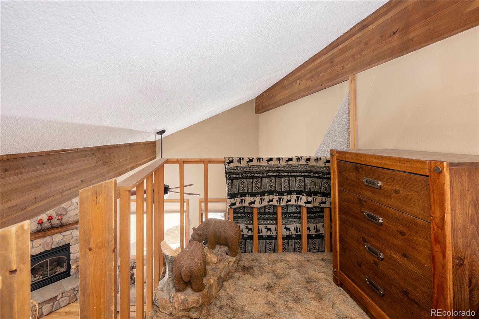 MLS Image #29 for 830  ermine lane,fraser, Colorado