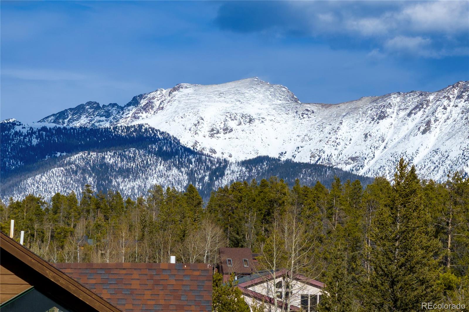 MLS Image #8 for 830  ermine lane,fraser, Colorado