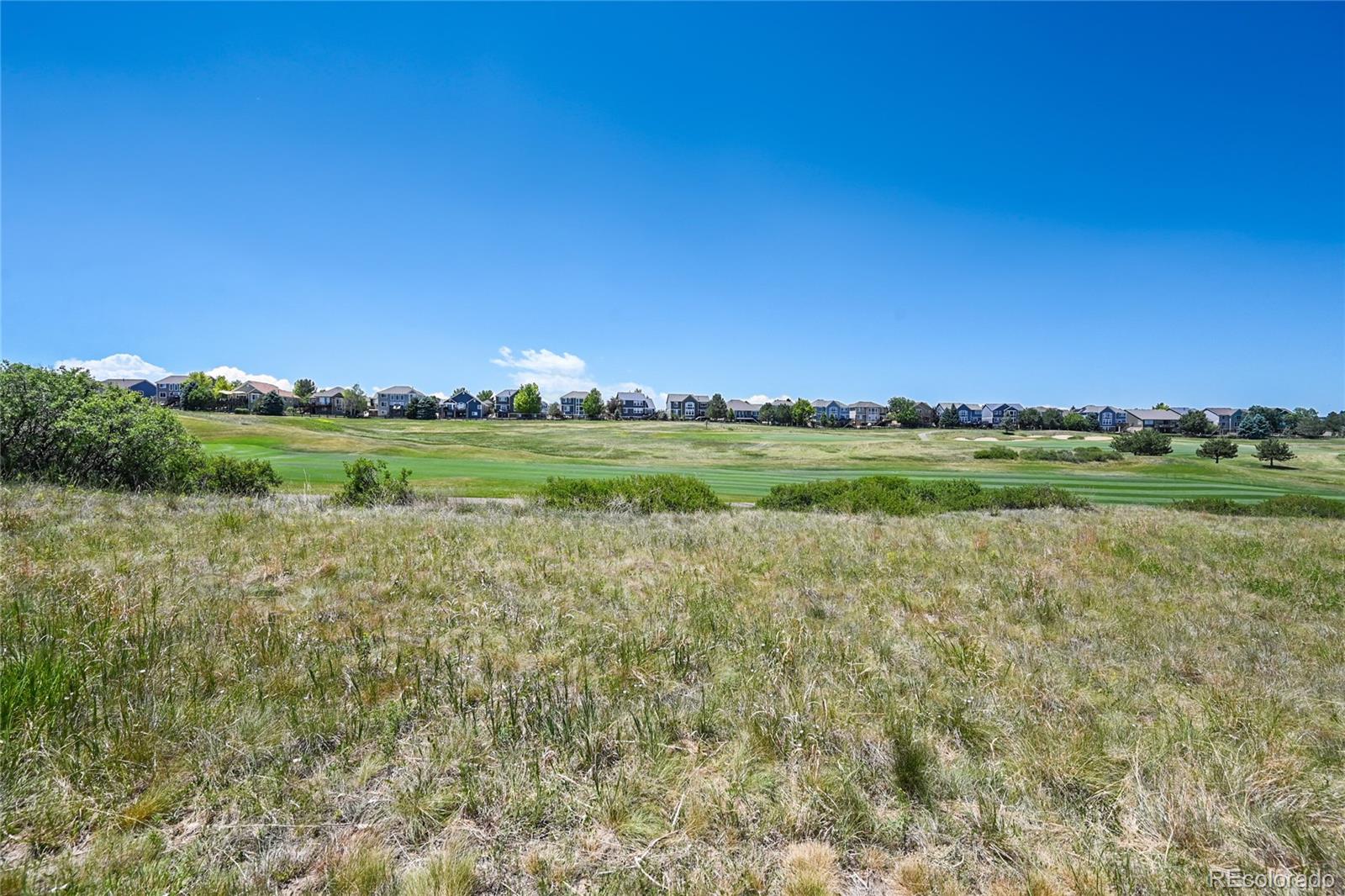 MLS Image #42 for 12063  blackwell way,parker, Colorado