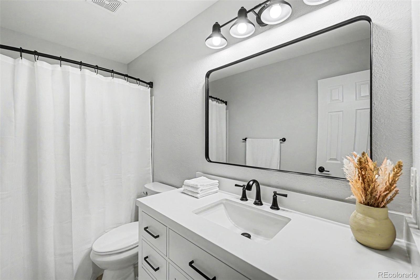 MLS Image #14 for 9655  lameria drive,highlands ranch, Colorado