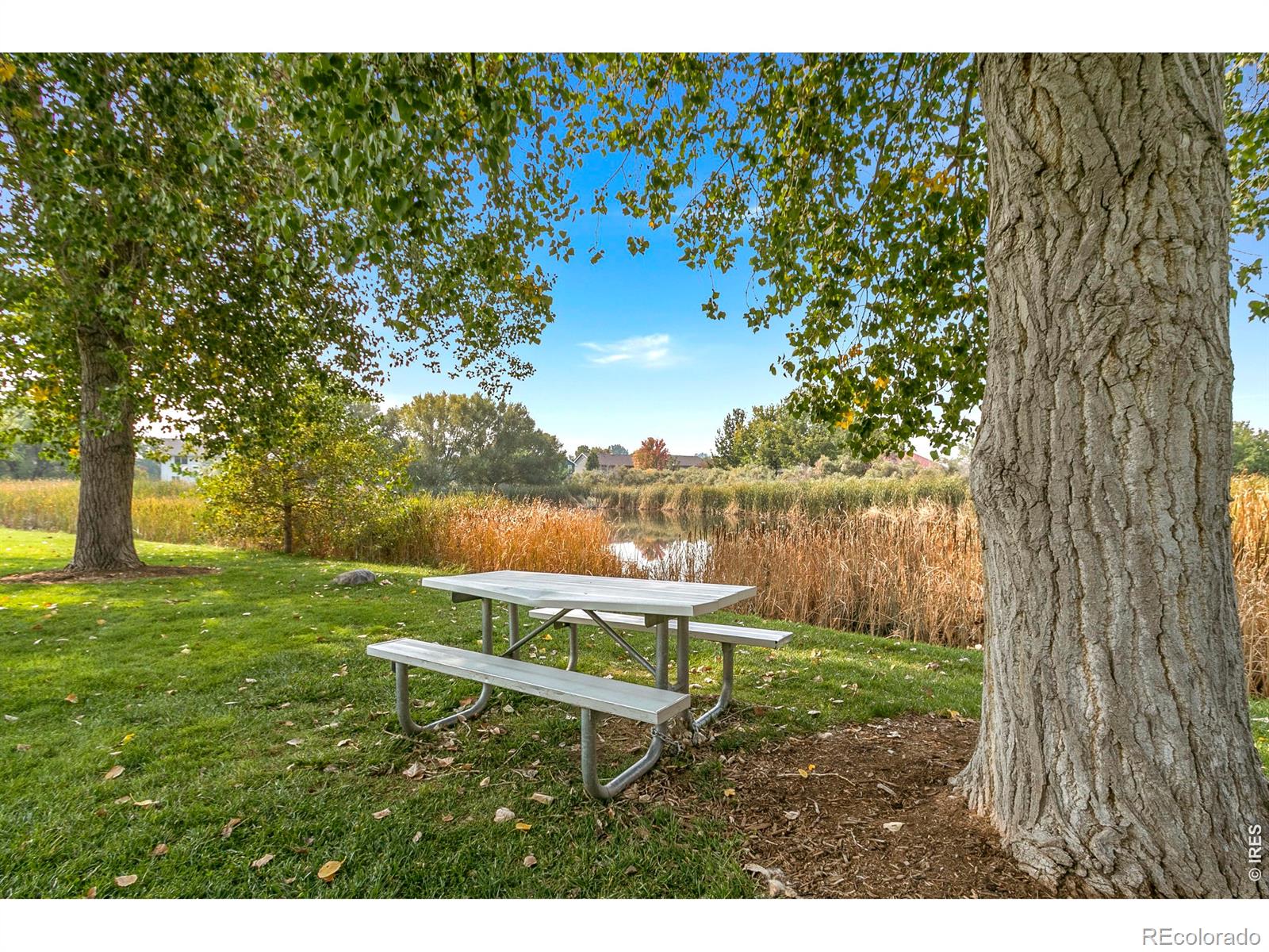 MLS Image #34 for 2612  newgate court,fort collins, Colorado