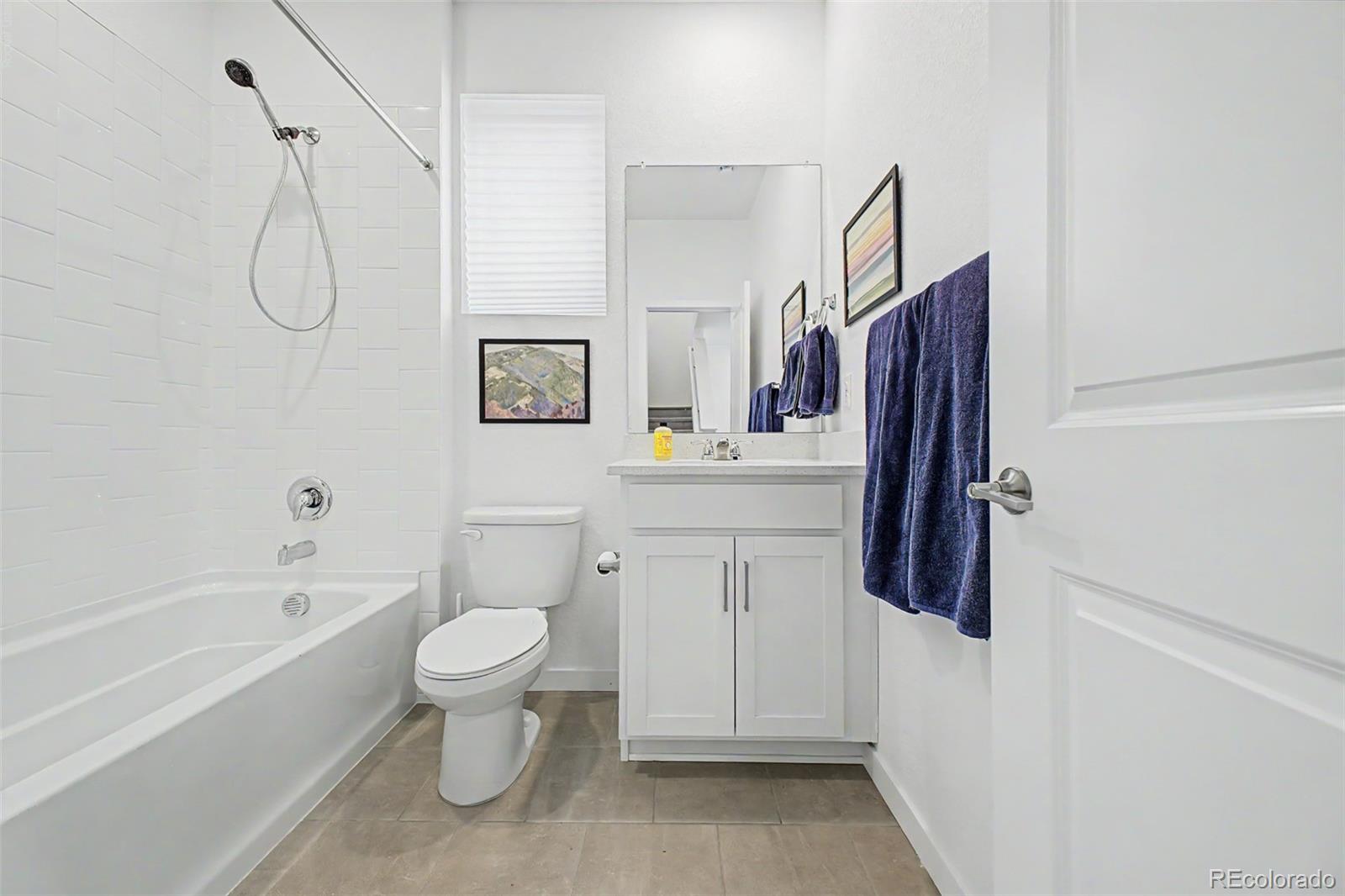 MLS Image #7 for 8709  middle fork street,littleton, Colorado