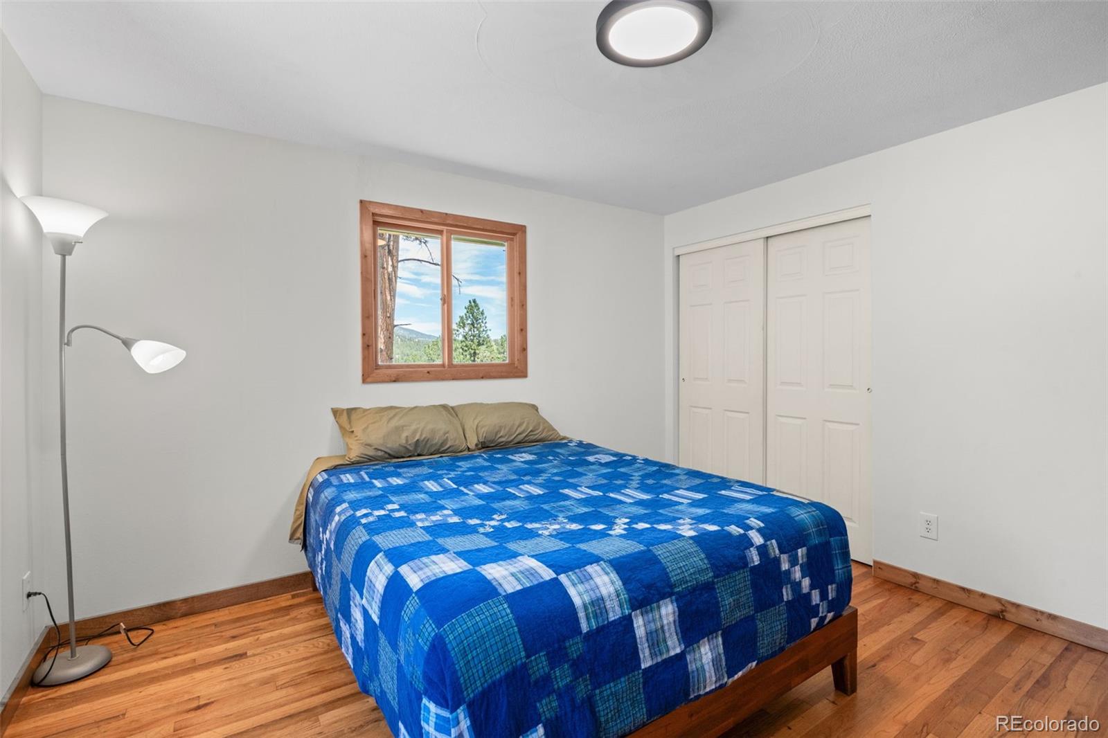 MLS Image #21 for 5597  lee drive,evergreen, Colorado