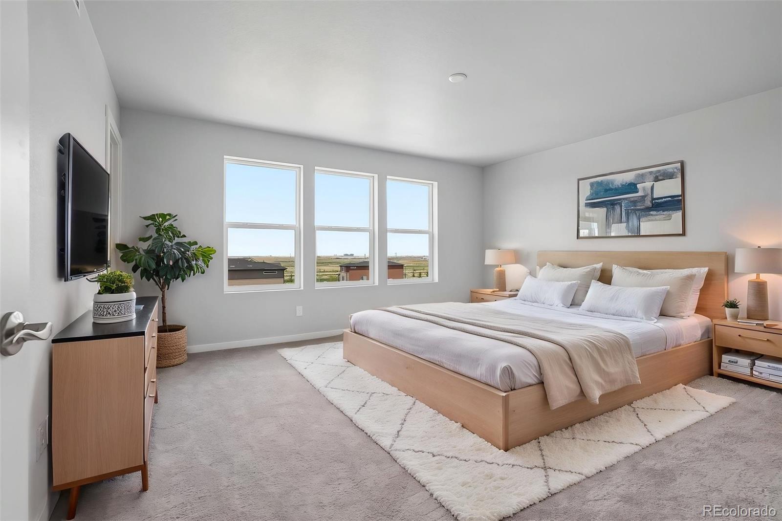 MLS Image #18 for 24161 e 54th place ,aurora, Colorado