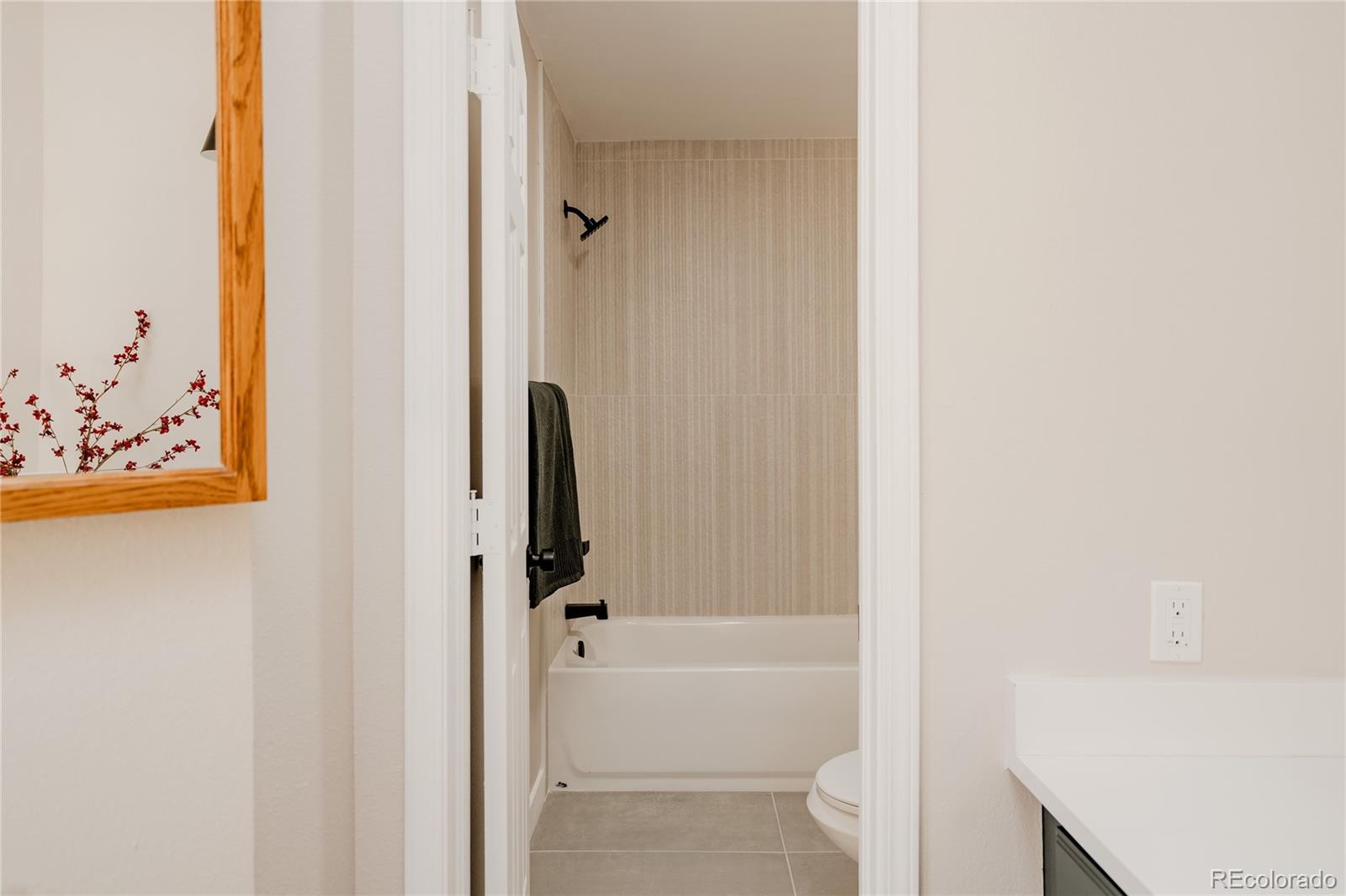 MLS Image #26 for 3011 w long court,littleton, Colorado