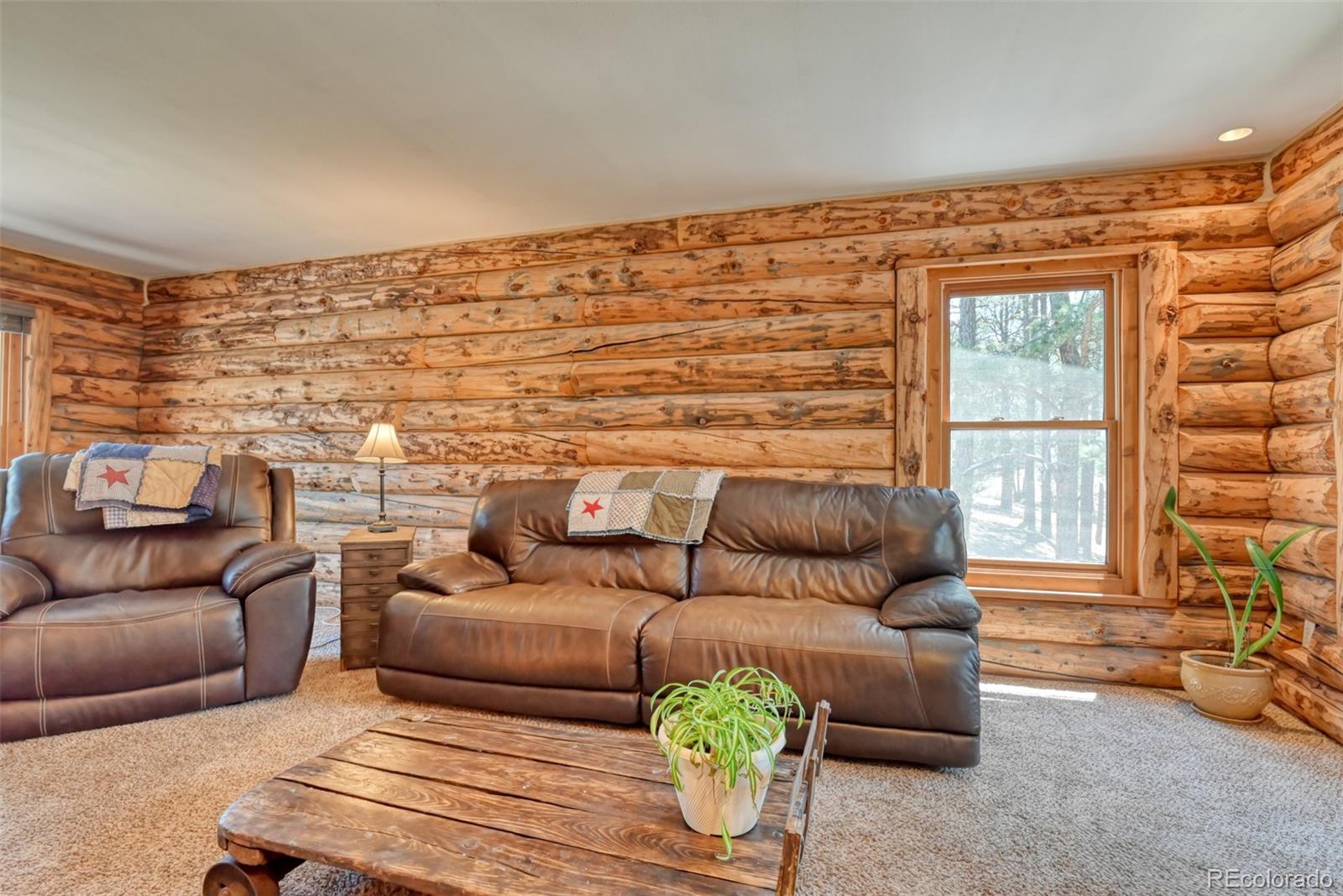 MLS Image #21 for 18515  steeplechase drive,peyton, Colorado