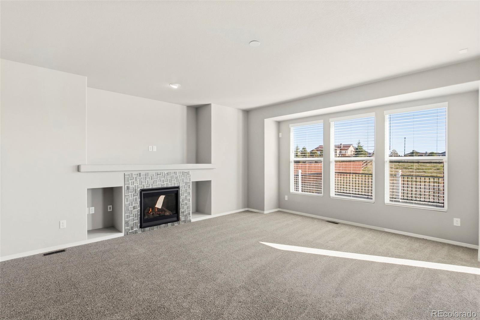 MLS Image #9 for 10913  checo way,peyton, Colorado
