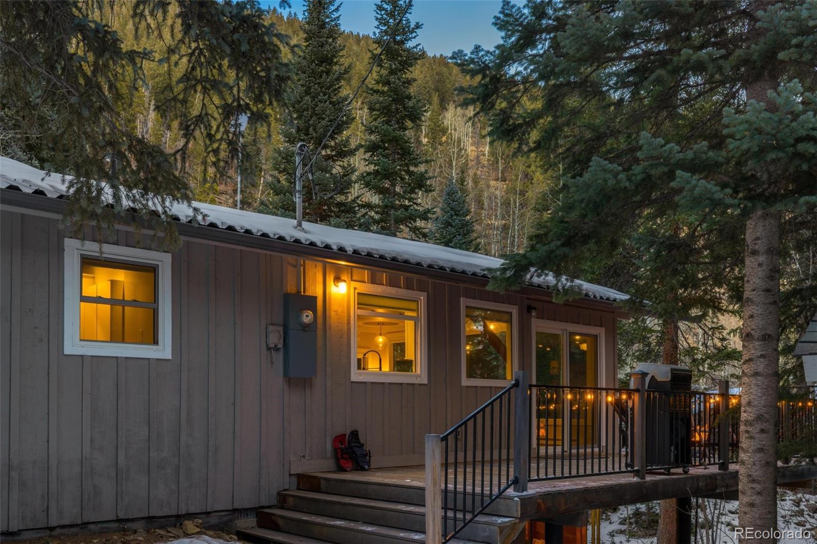 MLS Image #21 for 14  moss ,dumont, Colorado