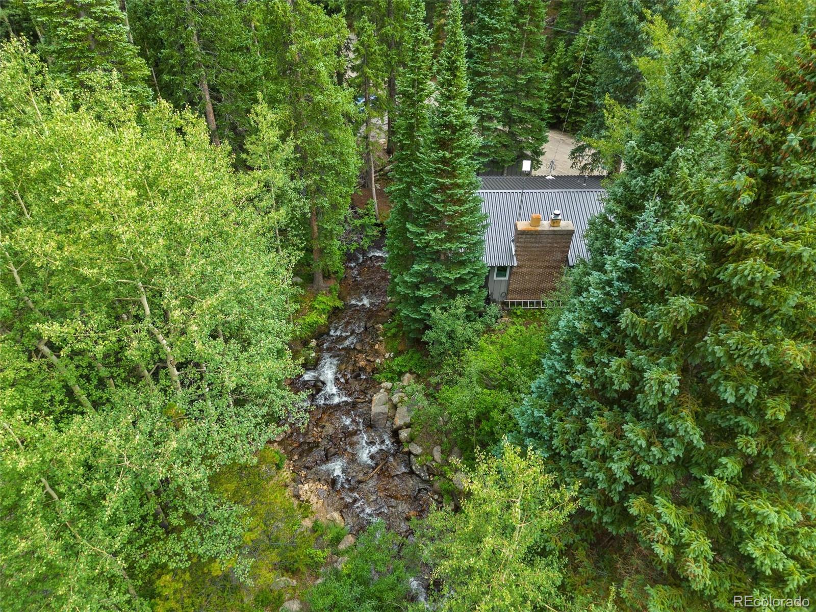 MLS Image #28 for 14  moss ,dumont, Colorado