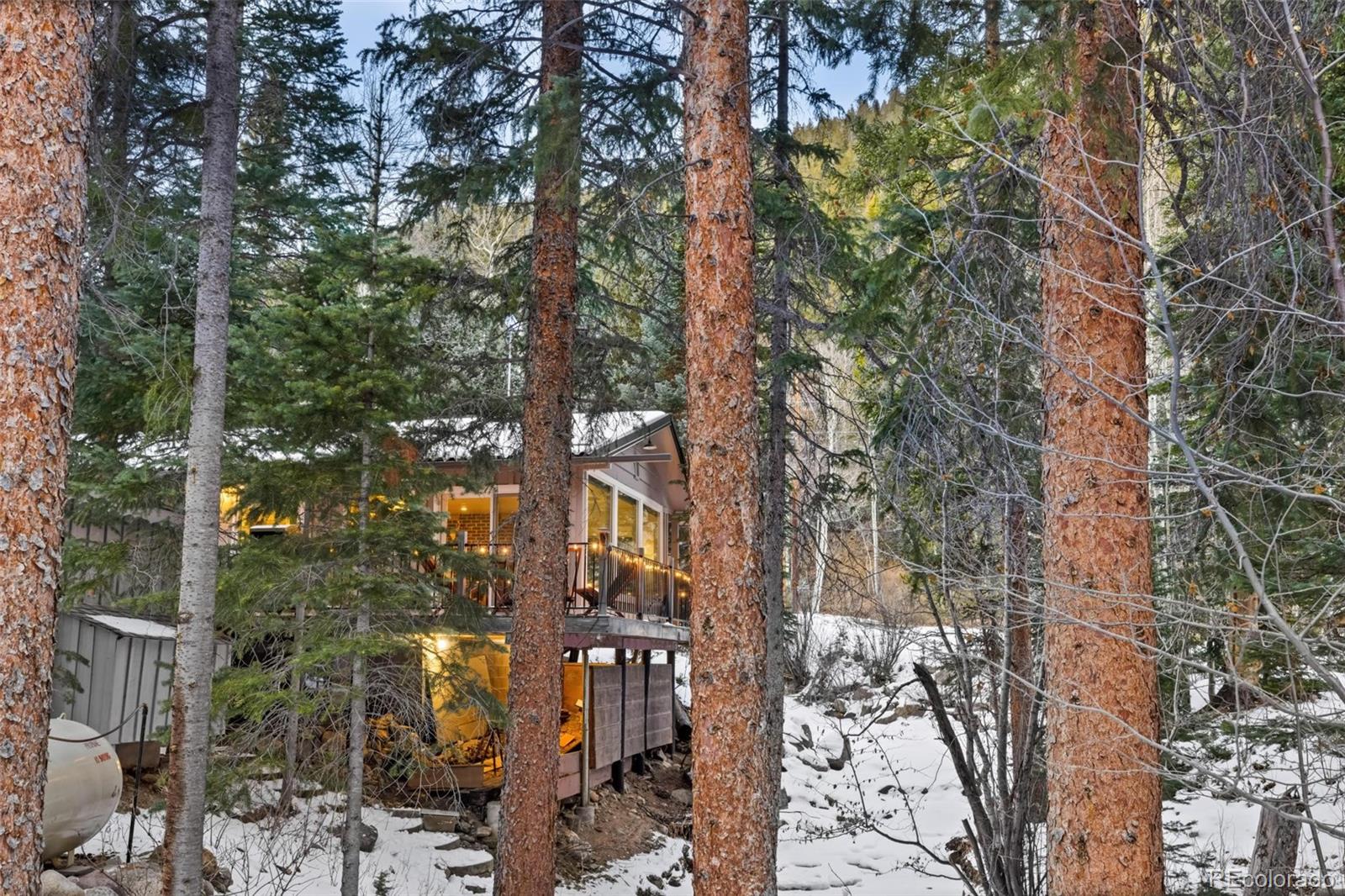 MLS Image #29 for 14  moss ,dumont, Colorado