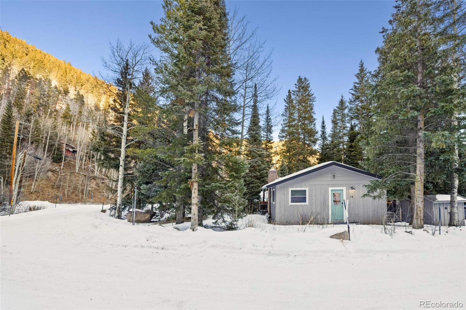 MLS Image #5 for 14  moss ,dumont, Colorado