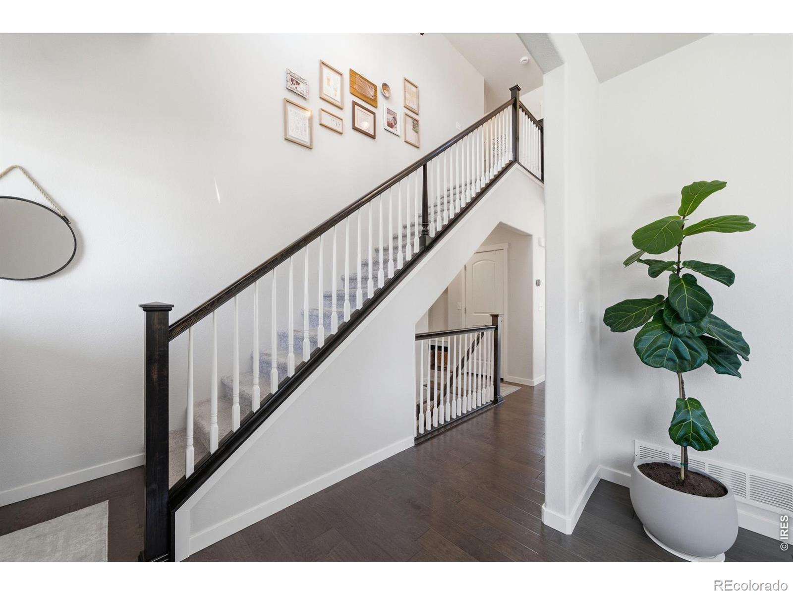 MLS Image #17 for 7136  brookvalley court,timnath, Colorado