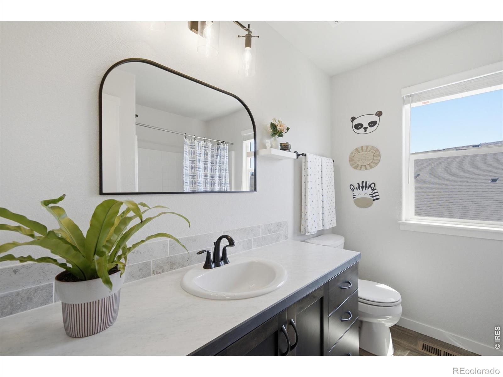 MLS Image #24 for 7136  brookvalley court,timnath, Colorado