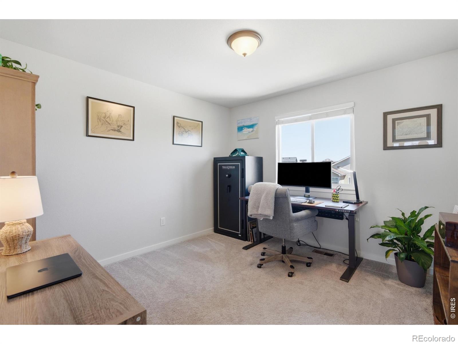 MLS Image #26 for 7136  brookvalley court,timnath, Colorado