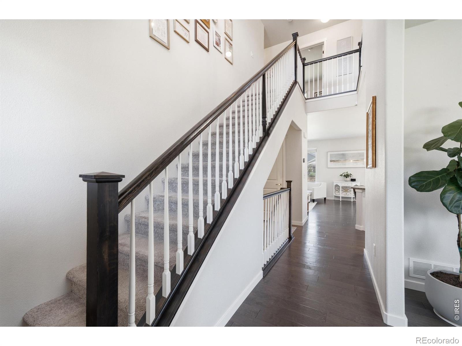 MLS Image #4 for 7136  brookvalley court,timnath, Colorado