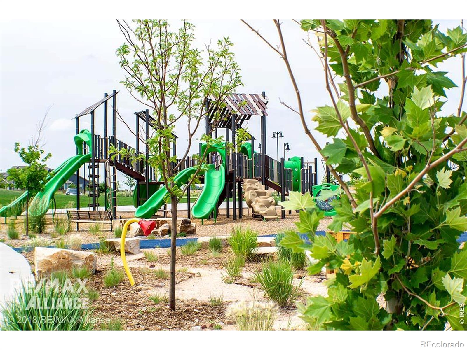 MLS Image #47 for 7136  brookvalley court,timnath, Colorado