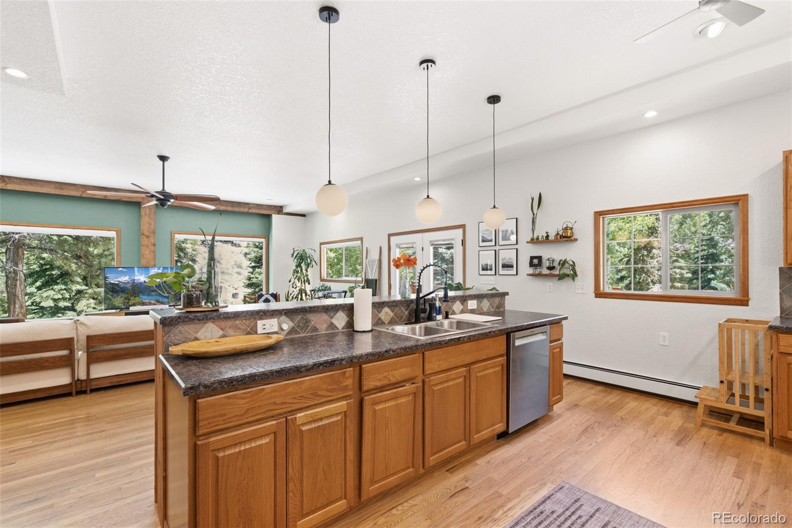 MLS Image #12 for 384  brookside drive,bailey, Colorado