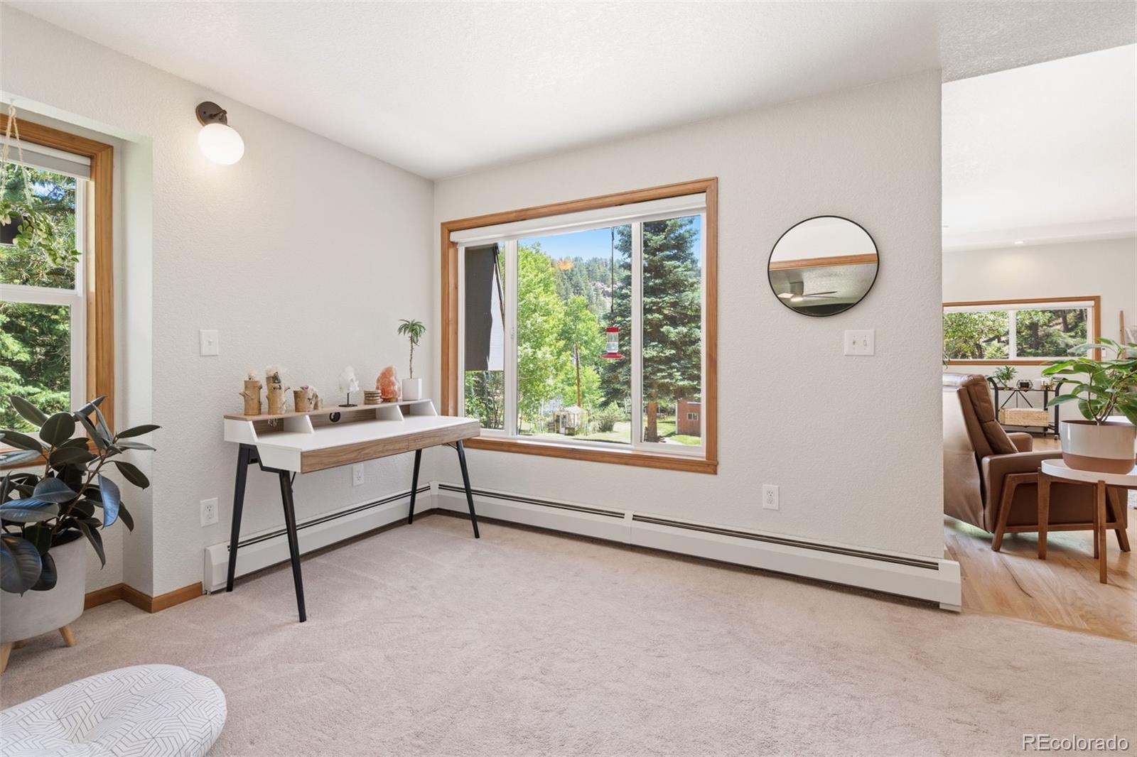 MLS Image #18 for 384  brookside drive,bailey, Colorado
