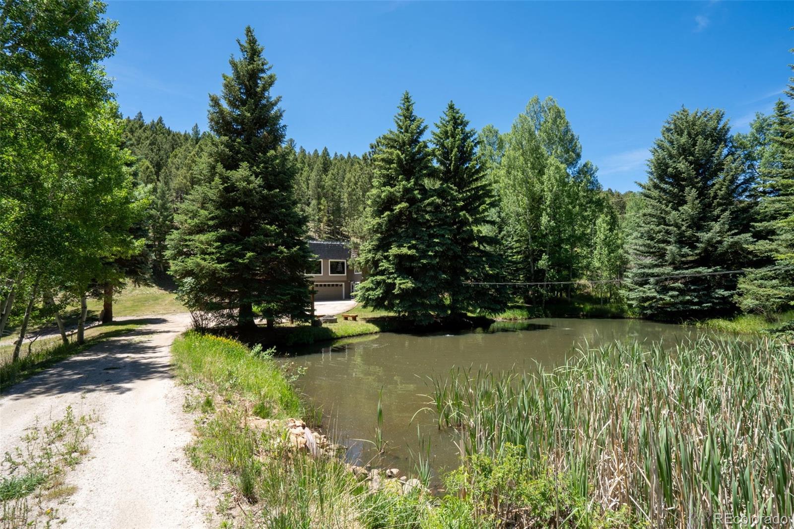 MLS Image #2 for 384  brookside drive,bailey, Colorado