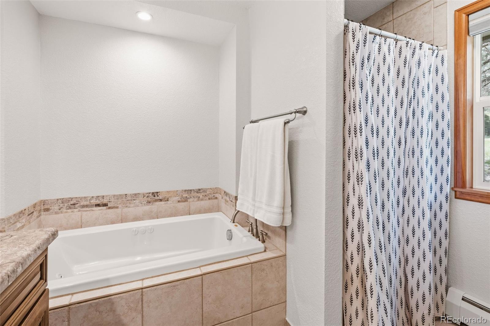 MLS Image #22 for 384  brookside drive,bailey, Colorado