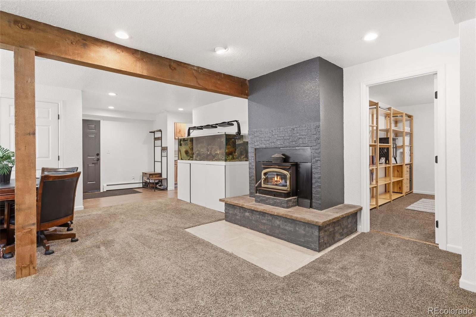 MLS Image #31 for 384  brookside drive,bailey, Colorado