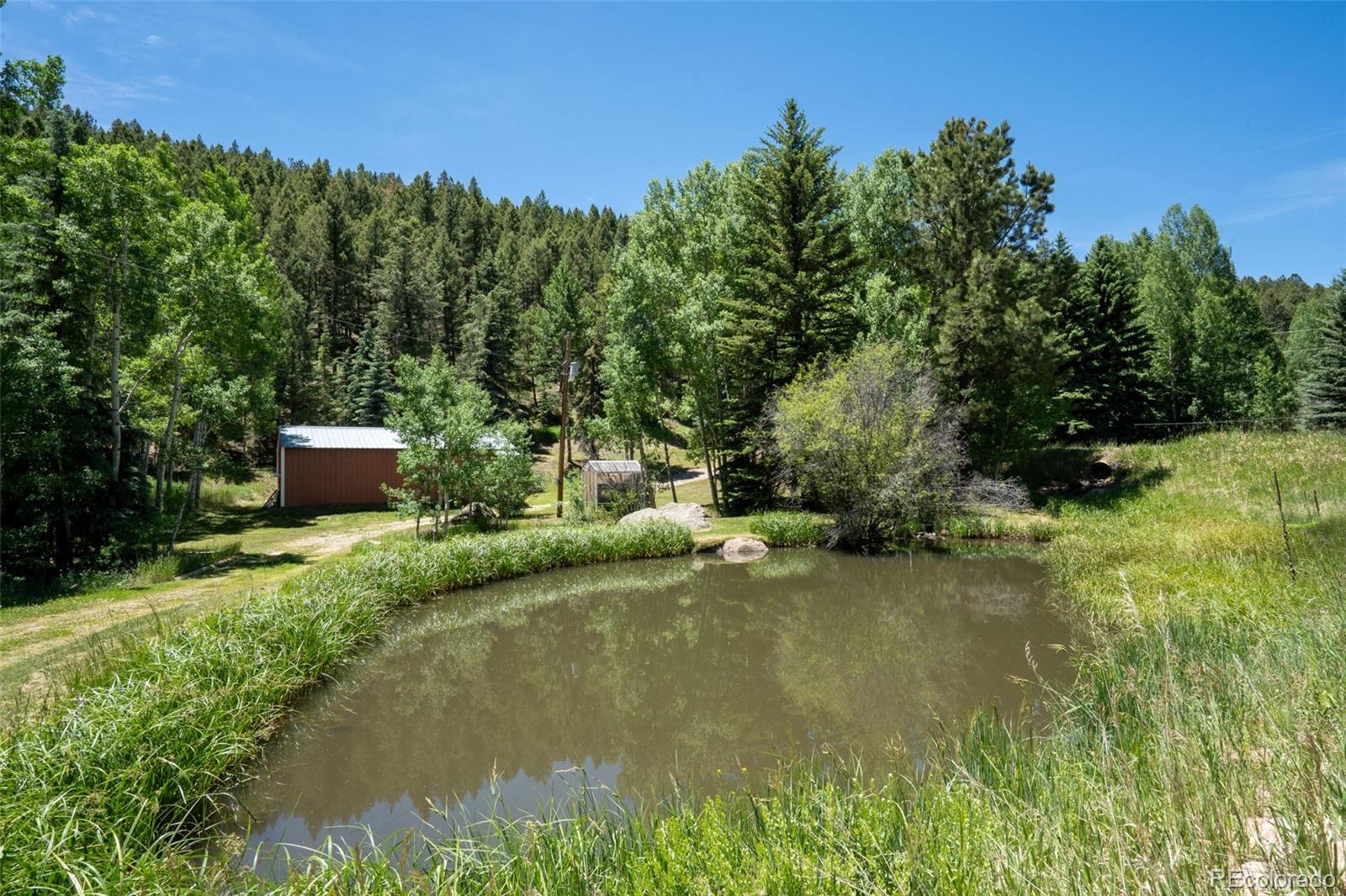 MLS Image #37 for 384  brookside drive,bailey, Colorado