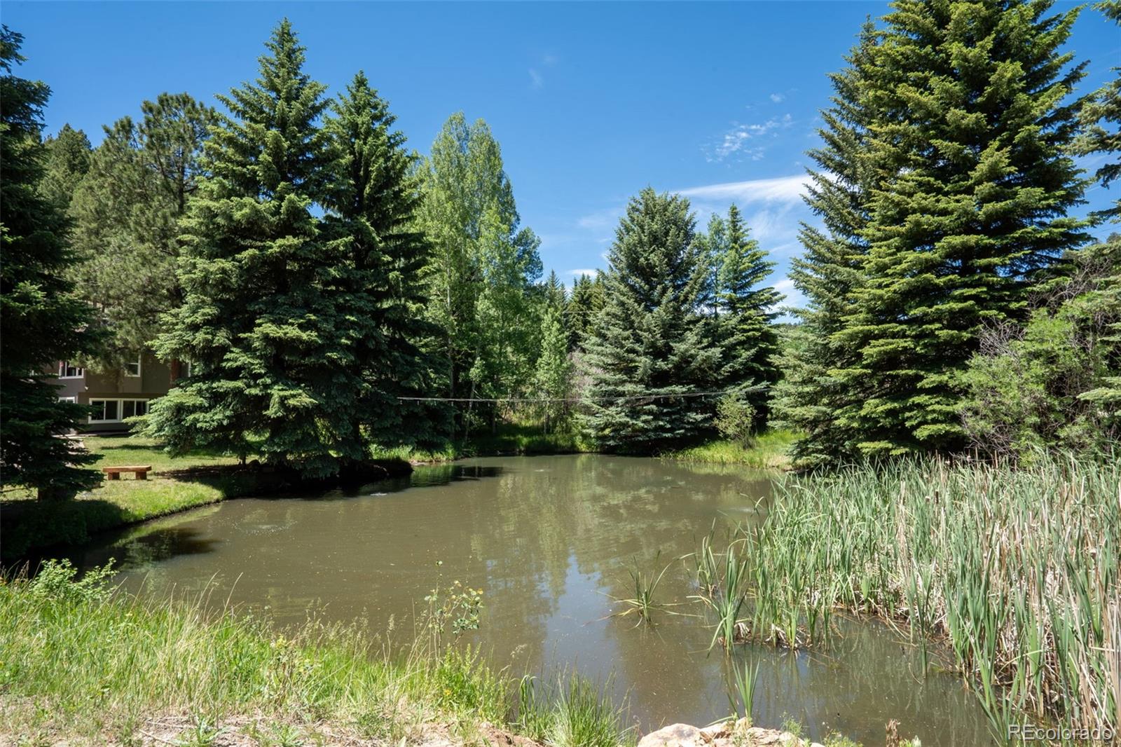MLS Image #38 for 384  brookside drive,bailey, Colorado
