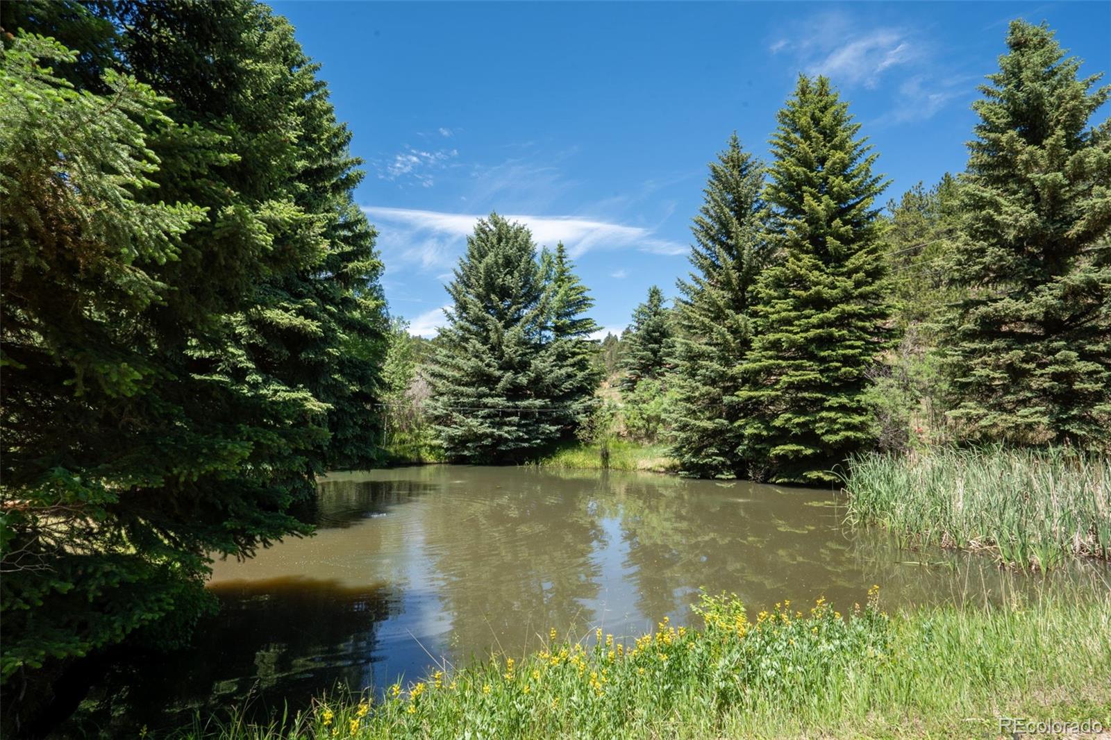 MLS Image #39 for 384  brookside drive,bailey, Colorado