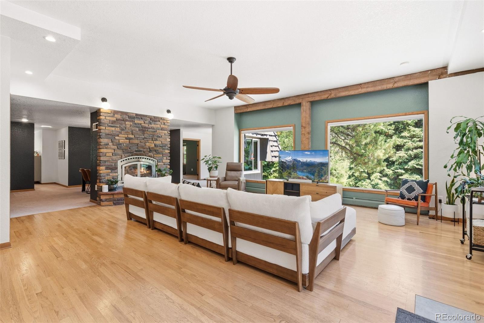 MLS Image #6 for 384  brookside drive,bailey, Colorado
