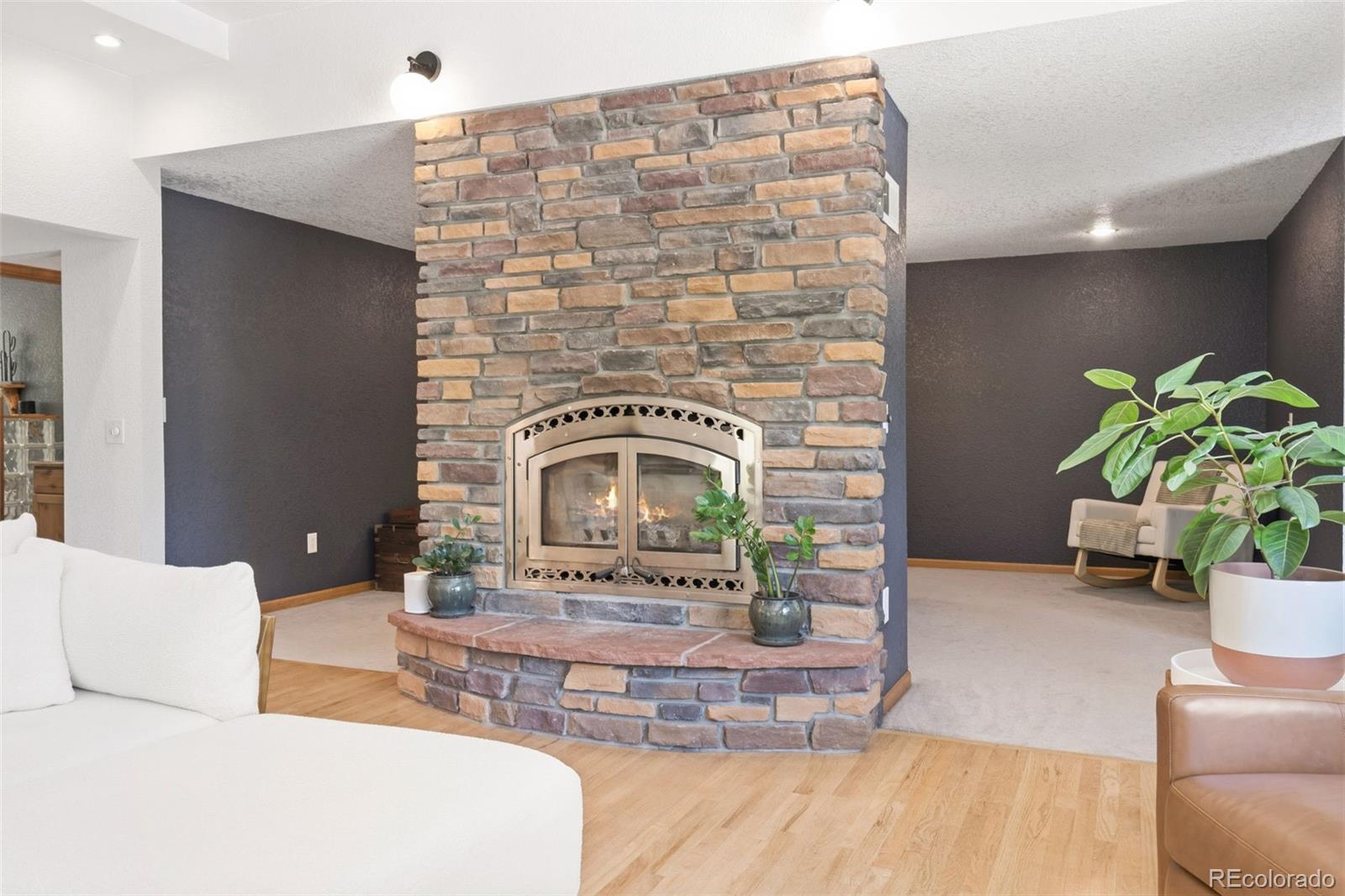 MLS Image #9 for 384  brookside drive,bailey, Colorado