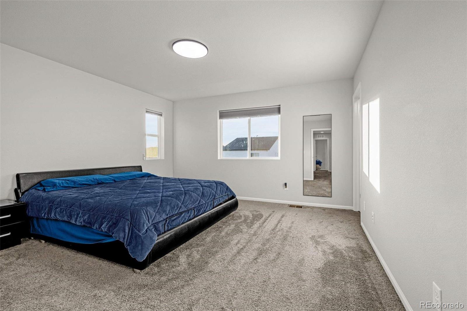 MLS Image #14 for 16407  mountain flax drive,monument, Colorado