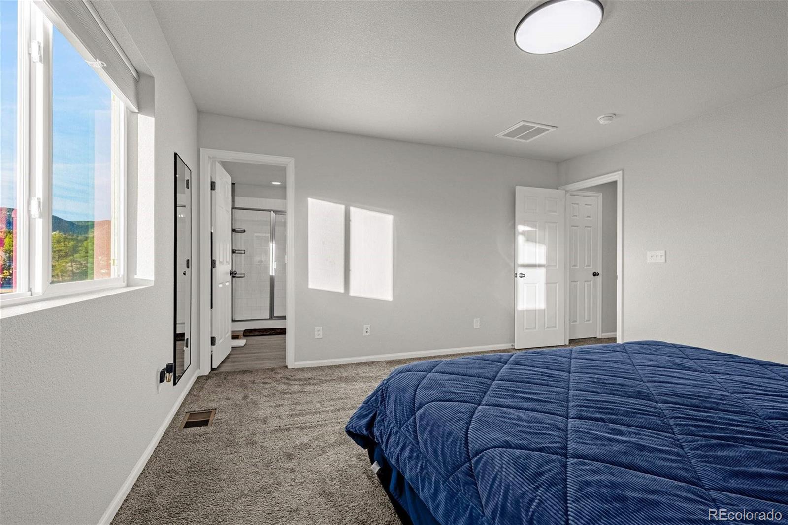MLS Image #15 for 16407  mountain flax drive,monument, Colorado
