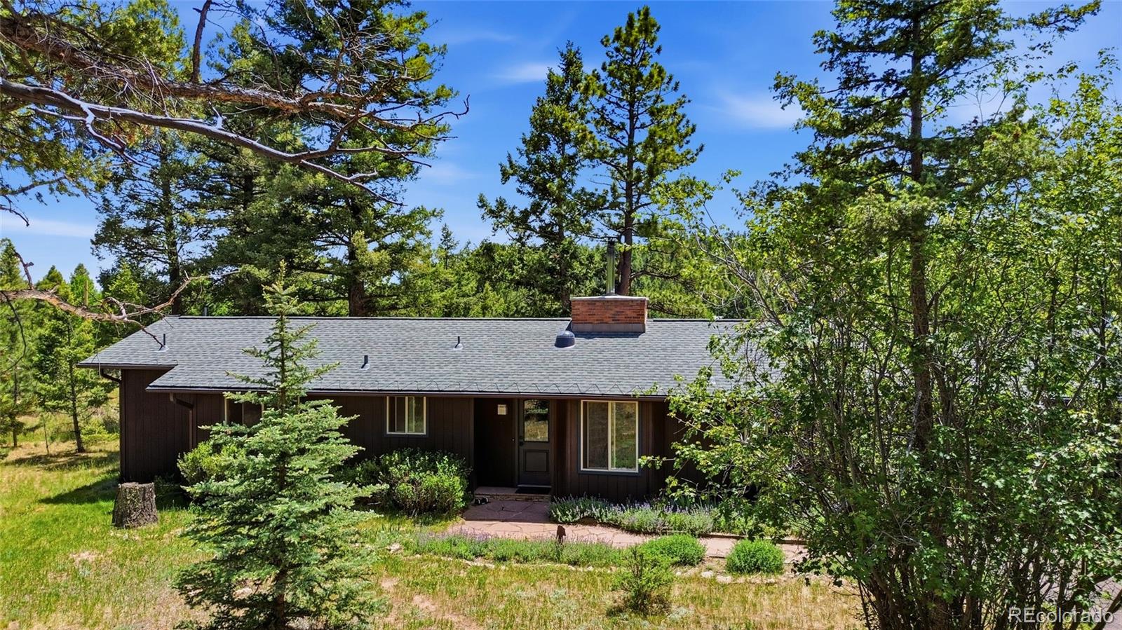MLS Image #0 for 31280  florence road,conifer, Colorado