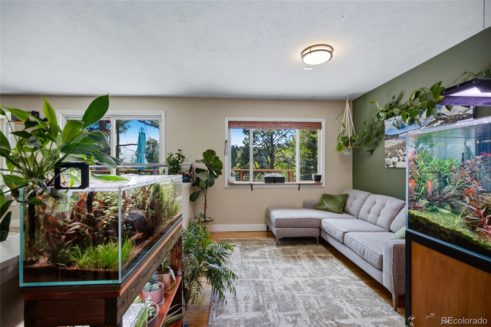 MLS Image #11 for 31280  florence road,conifer, Colorado