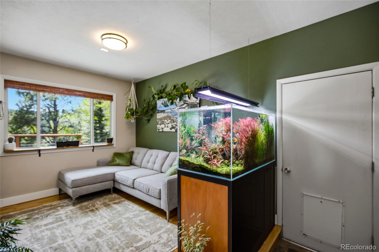 MLS Image #12 for 31280  florence road,conifer, Colorado