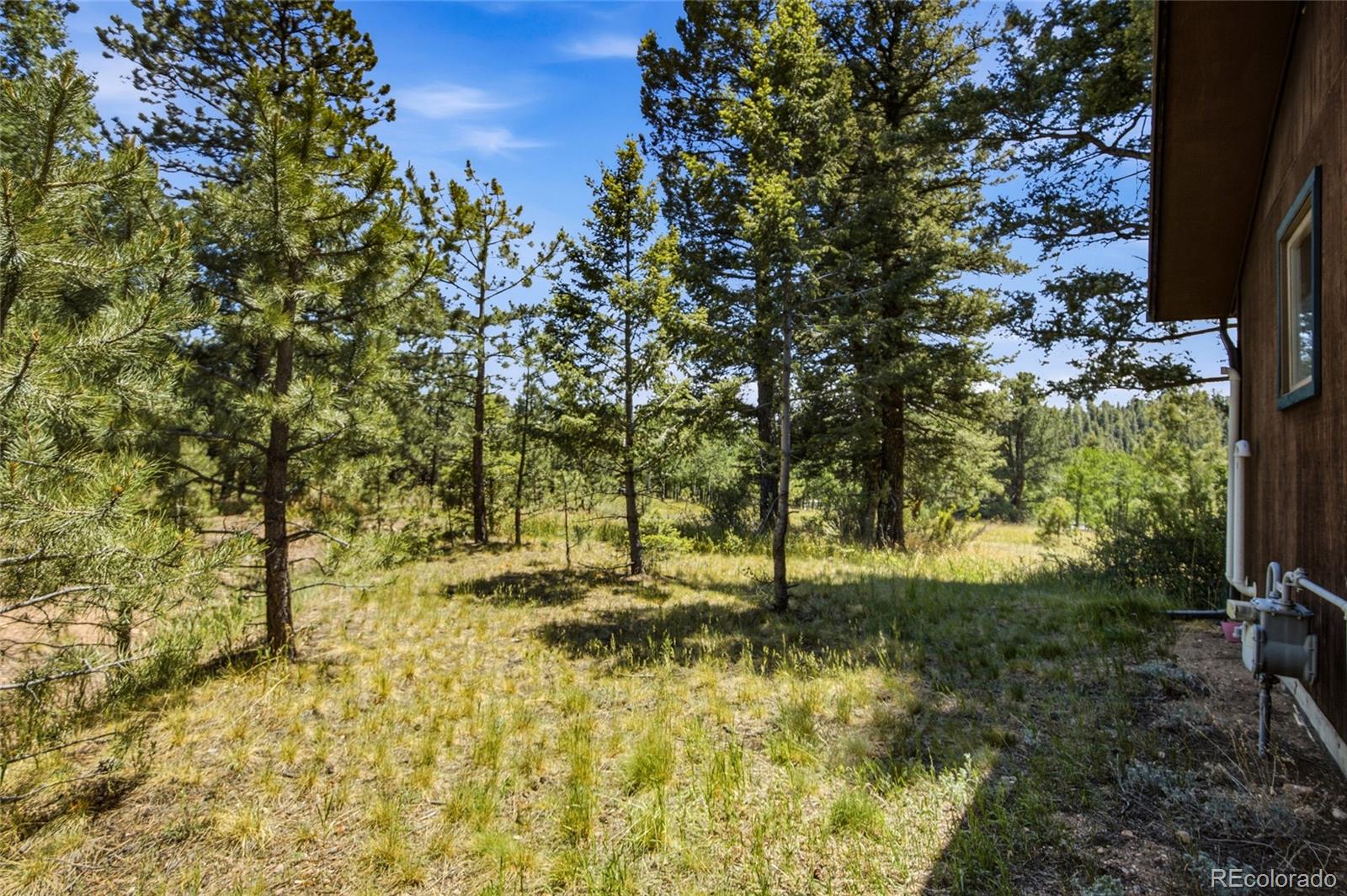 MLS Image #32 for 31280  florence road,conifer, Colorado