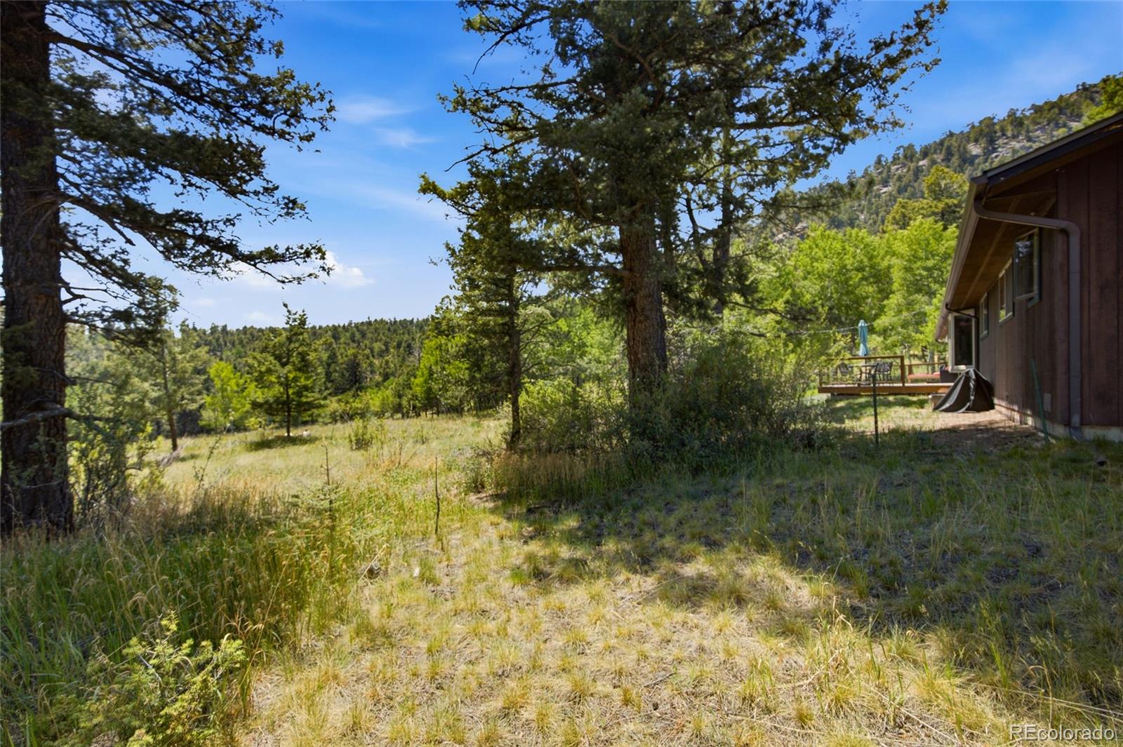 MLS Image #33 for 31280  florence road,conifer, Colorado