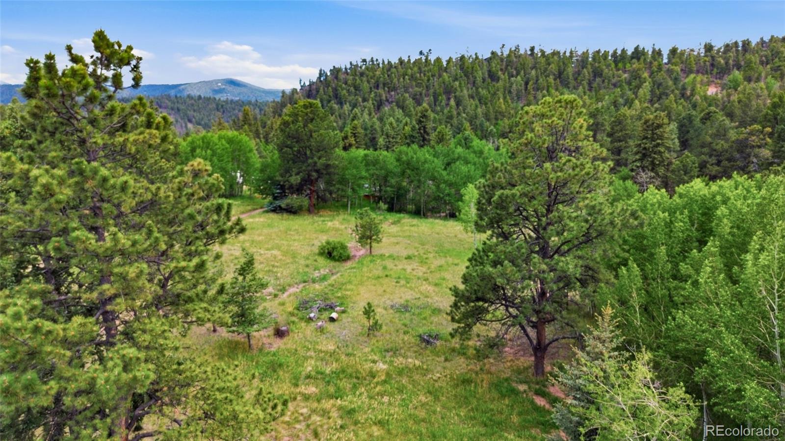 MLS Image #39 for 31280  florence road,conifer, Colorado