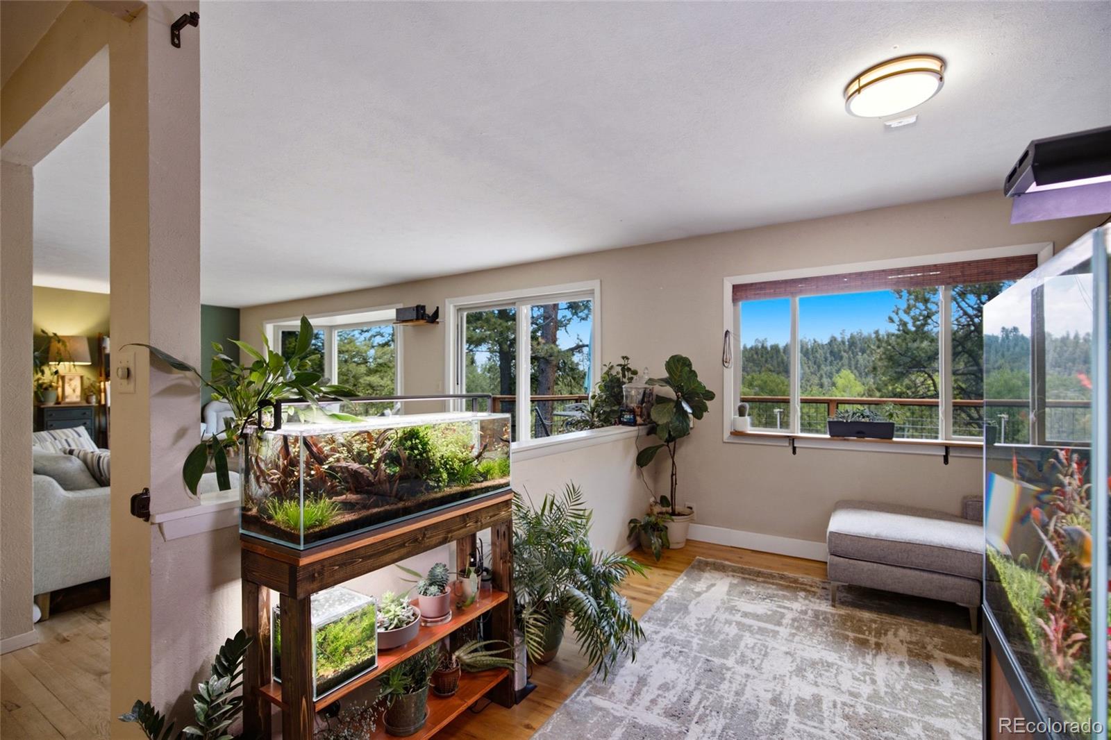 MLS Image #4 for 31280  florence road,conifer, Colorado