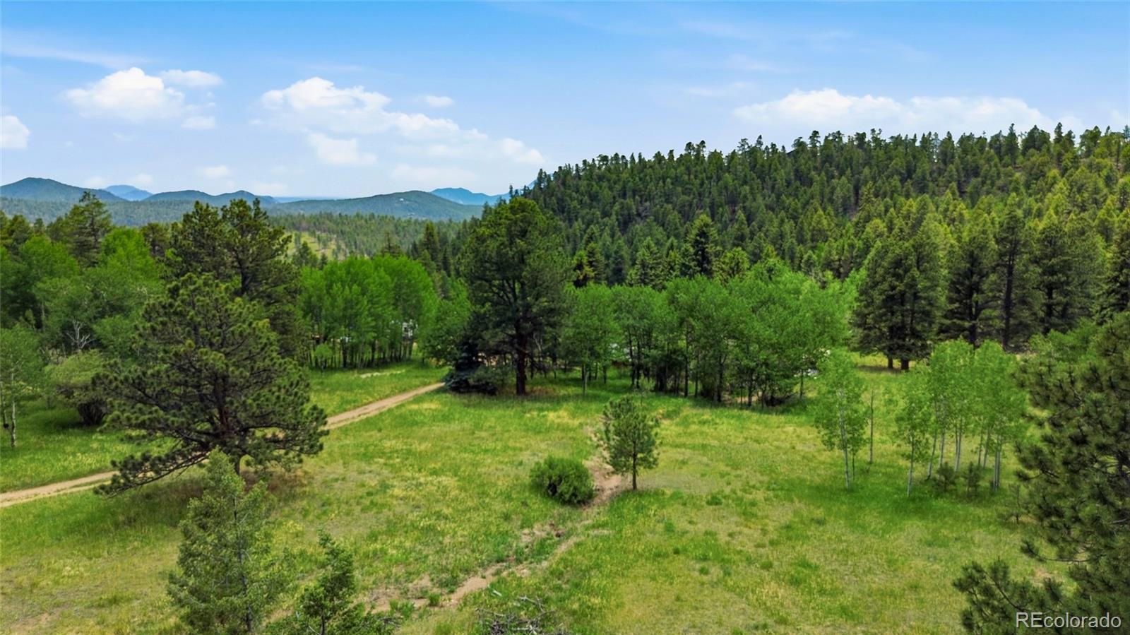 MLS Image #46 for 31280  florence road,conifer, Colorado