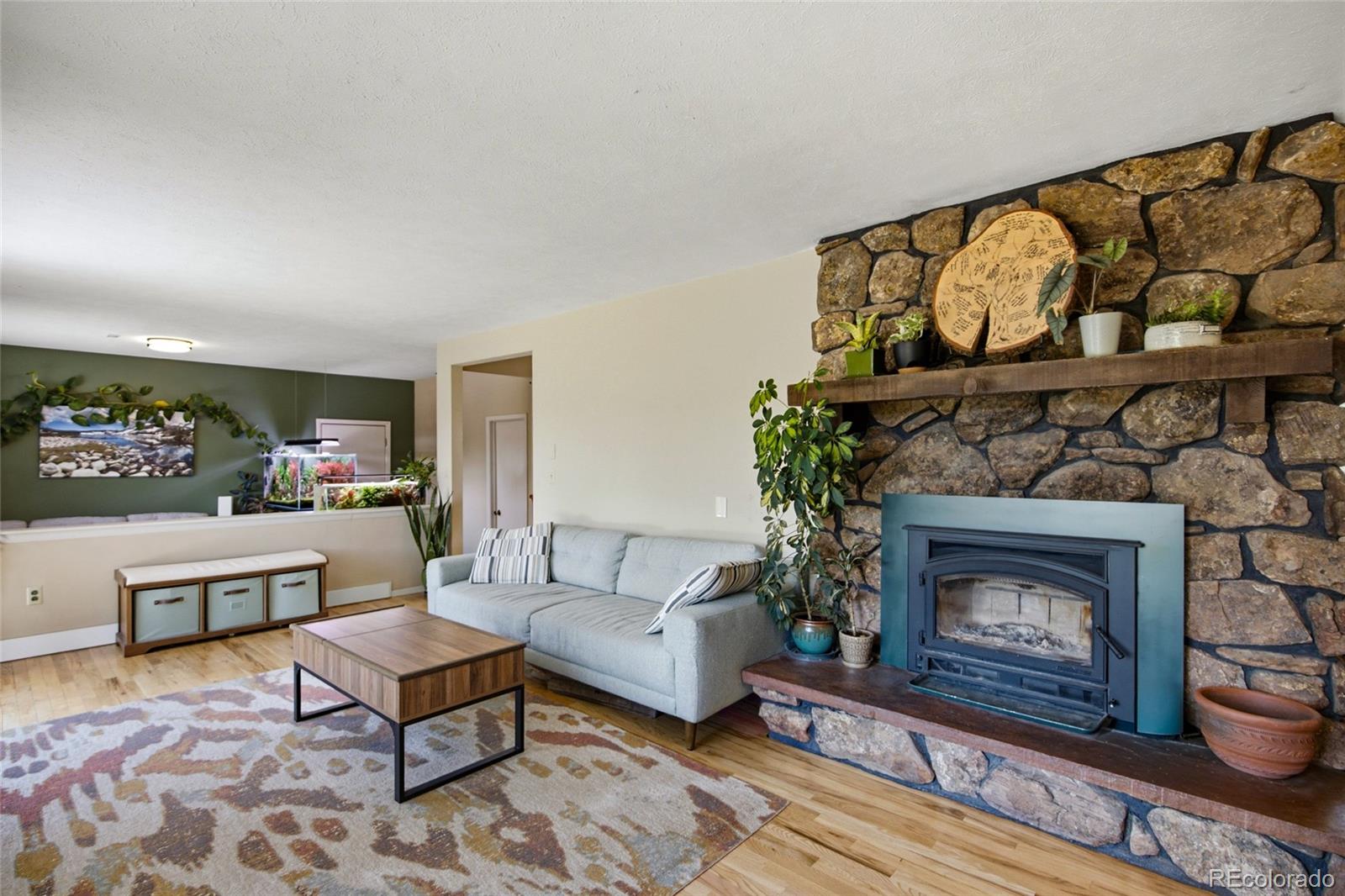 MLS Image #6 for 31280  florence road,conifer, Colorado