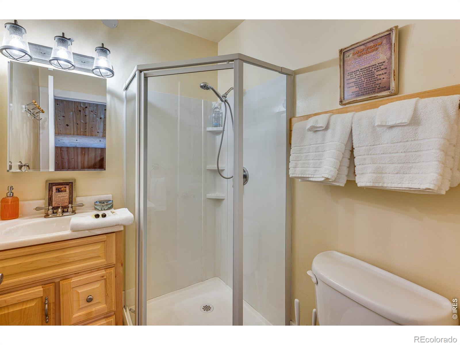 MLS Image #21 for 61  tawakoni court,red feather lakes, Colorado