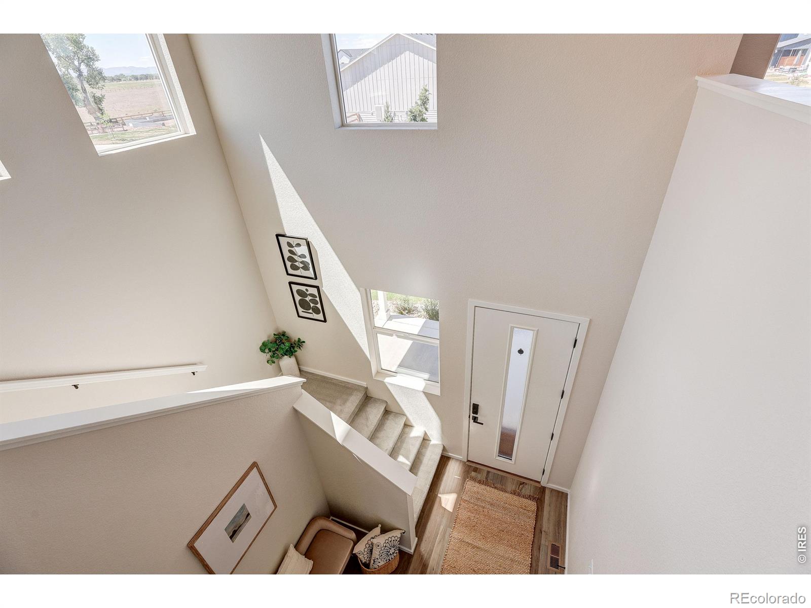 MLS Image #14 for 6025  saddlehorn drive,timnath, Colorado