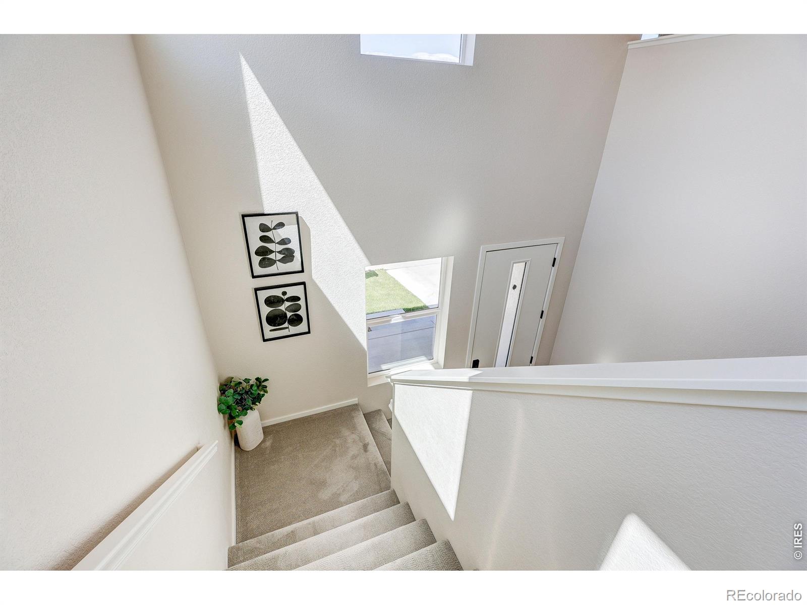 MLS Image #15 for 6025  saddlehorn drive,timnath, Colorado