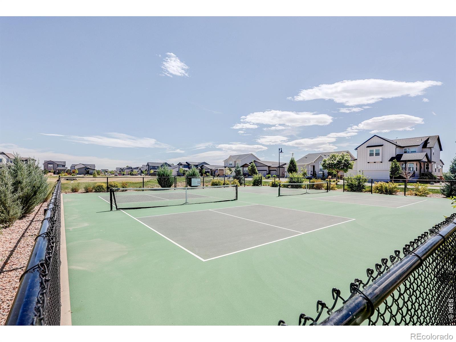 MLS Image #36 for 6025  saddlehorn drive,timnath, Colorado