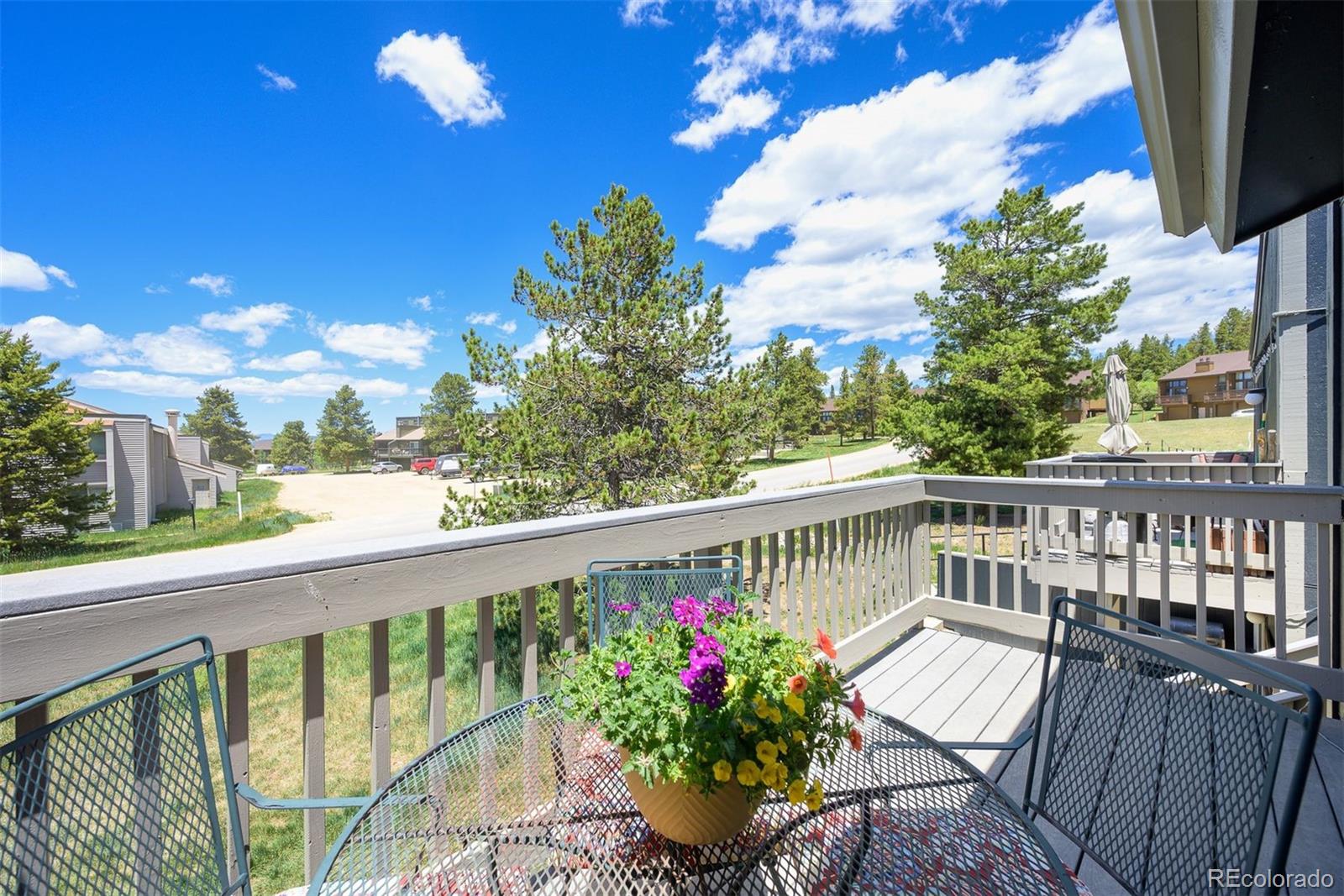MLS Image #22 for 206 e meadow mile ,fraser, Colorado