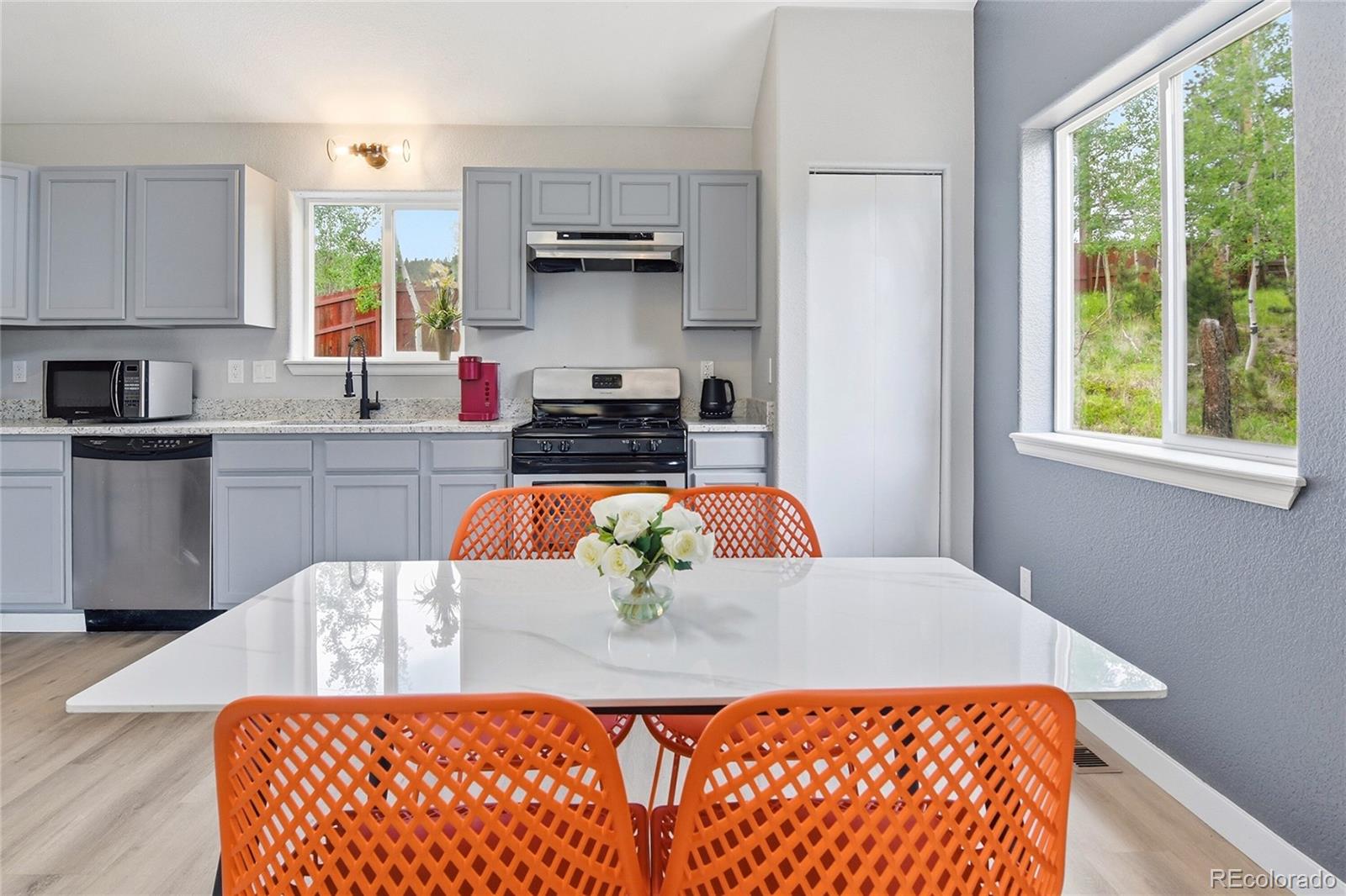 MLS Image #11 for 168  wise road,bailey, Colorado