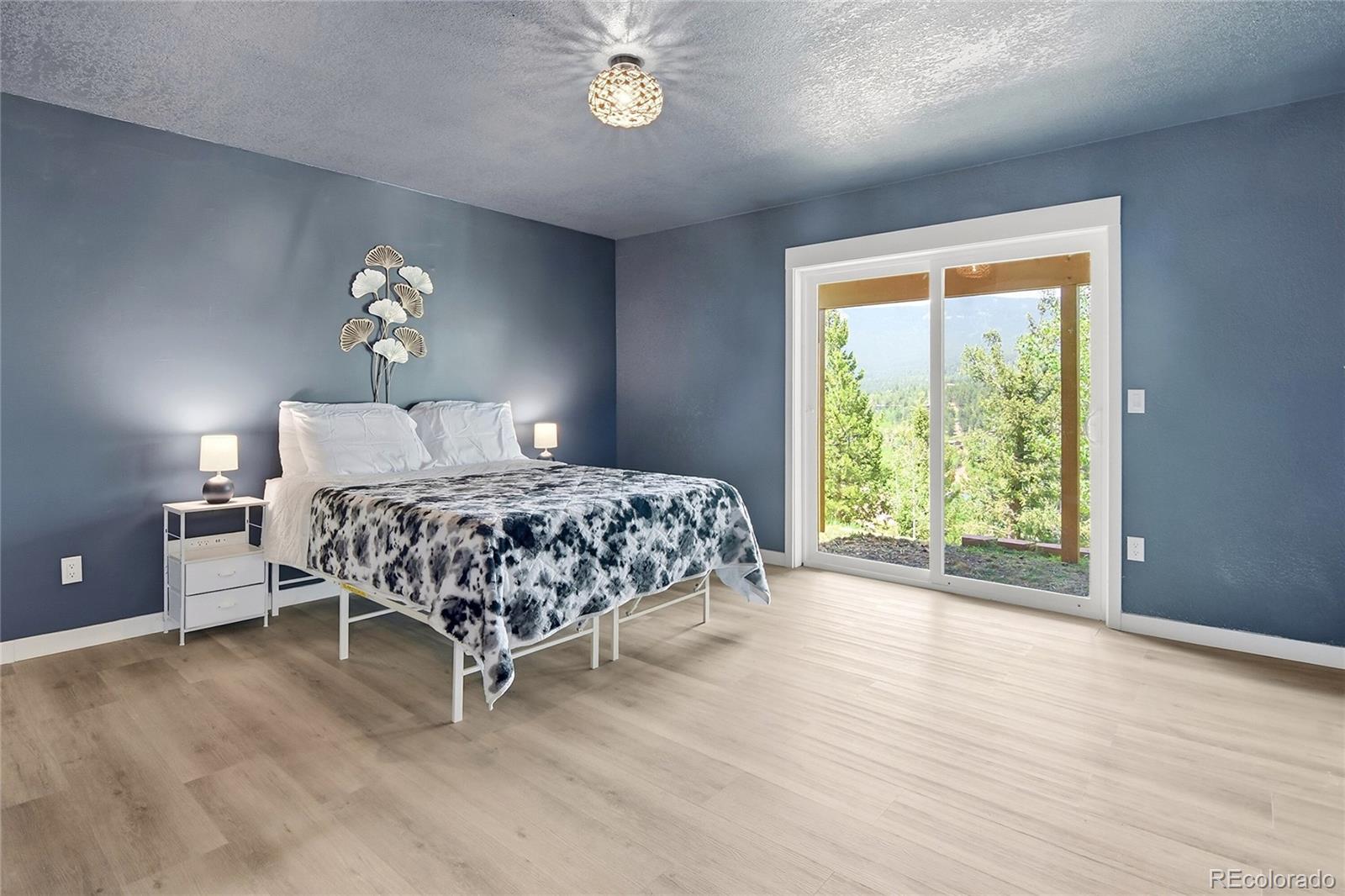 MLS Image #23 for 168  wise road,bailey, Colorado