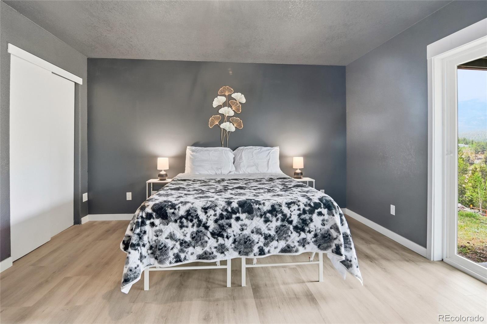 MLS Image #24 for 168  wise road,bailey, Colorado